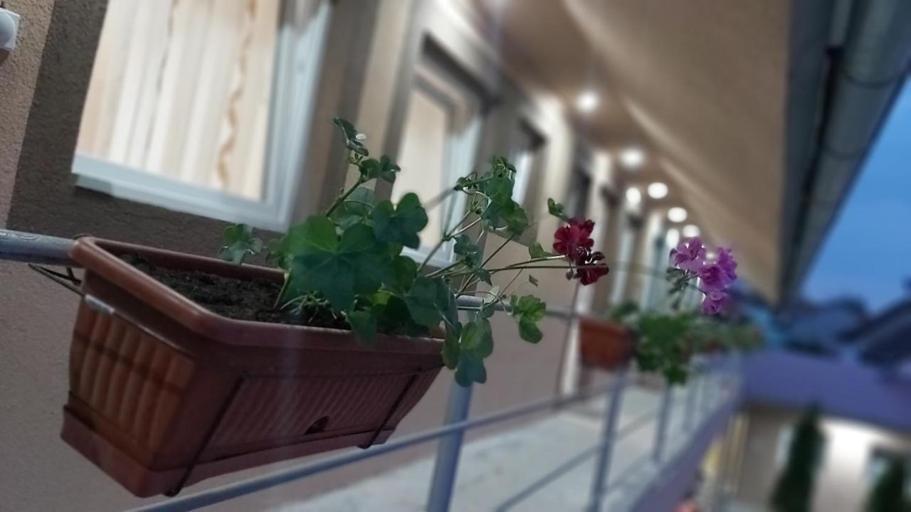 Rooms Stefan スボティツァ エクステリア 写真